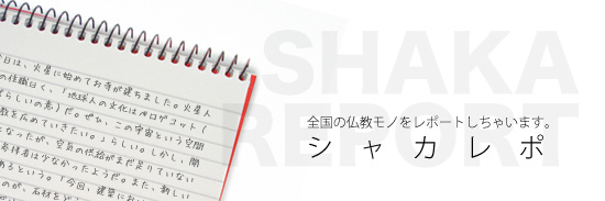 シャカレポ